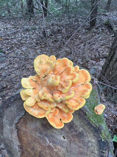 797 best Hudson Valley images on Pholder | Hudsonvalley, Beerporn and