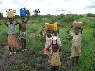 change   water life bis