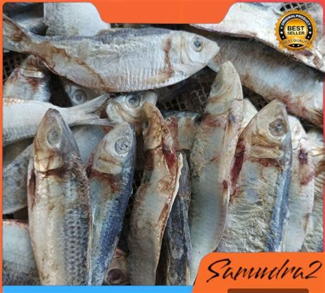 Ikan Asin Tembang Sisik Kaca Kg Lazada Indonesia