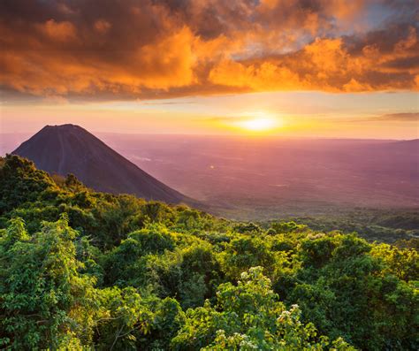 El Salvador Expedited US Passport Services Texas Tower 24 Hour