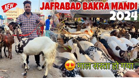 Jafrabad Bakra Mandi Delhi Ki Sabse Saste Bakre YouTube