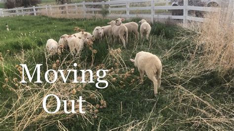 Moving Onto Greener Pastures Vlog Youtube