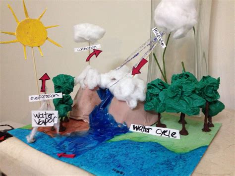 The Water Cycle Water Cycle Water Cycle Activities Water Cycle Project ...