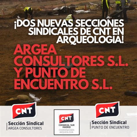 Cnt Sigue Creciendo En El Sector De La Arqueolog A Secci Nes