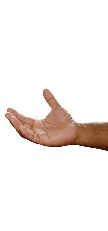 Human Hand Palm Facing Up Stock Photos Free And Royalty Free Stock