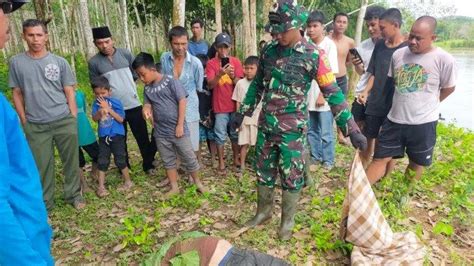 Ciri Ciri Mayat Tanpa Kepala Yang Ditemukan Di Bungo Jambi Ada Tanda