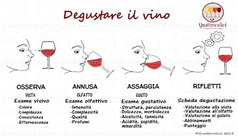 Caratteristiche Organolettiche Del Vino Mind Map