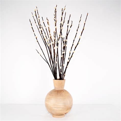 Pussy Willow Dried Salix Surella Dried And Preserved Flowers