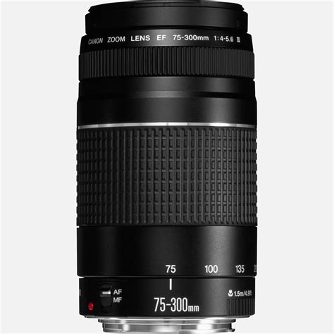 Buy Canon EF 75-300mm f/4-5.6 III Lens — Canon OY Store