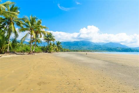 Marino Ballena National Park En Uvita Punta Uvita Playas Hermosas Y