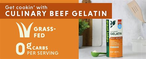 Great Lakes Wellness Culinary Beef Gelatin Powder