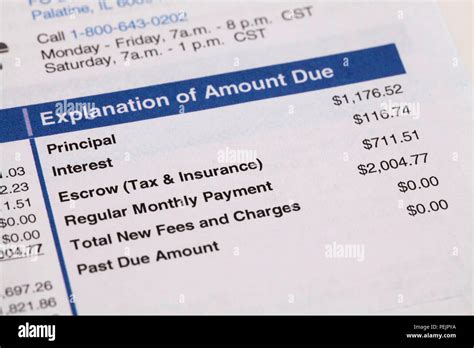 Home Mortgage Loan Monthly Statement Showing Payment Details Usa