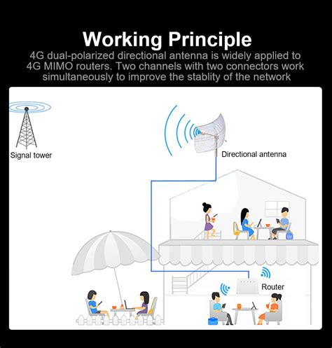 G Antenna Lte Feed Mhz To Mhz Dual Polarity Antennas For Mimo