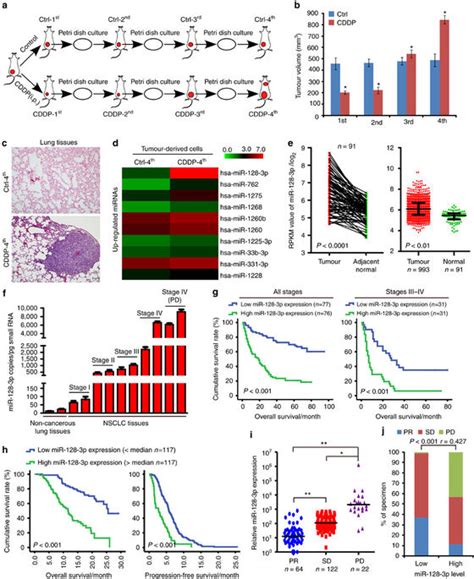 Simultaneous overactivation of Wnt β catenin and TGFβ signalling by miR