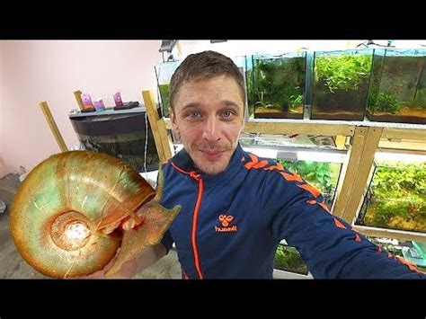 Новый житель нерестовика - YouTube