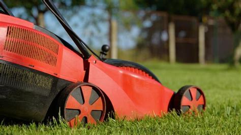 Vue Latérale D une Tondeuse à Gazon Coupant L herbe à L extérieur Dans