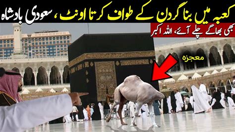 Kaaba Main Oonth Ka Heran Kun Mojza Allah Hu Akbar YouTube