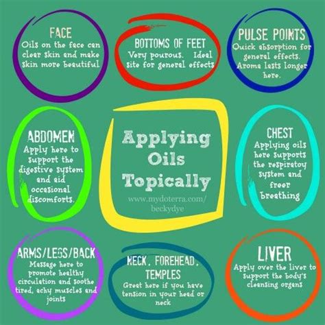 How To Apply Topically Everyday Oils How To Apply Digestive Support