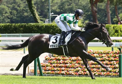 【新潟2歳】【de】【競馬】オタルエバー、無償連勝で重賞制覇一直線！すこぶる順調です！！ あいこでまね～ファクトリー