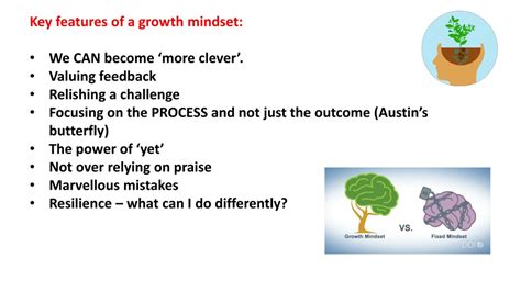 Ppt Growth Mindset And How It May Help Pupils Learn What Are Mindsets