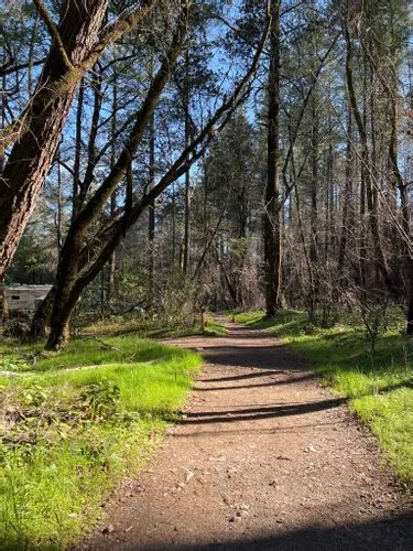 Best Hikes and Trails in Bothe-Napa Valley State Park | AllTrails