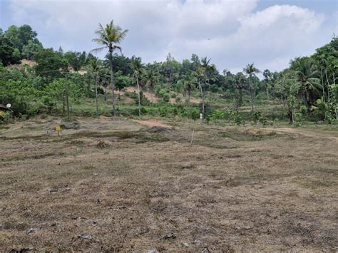 Agricultural Land Cent For Sale In Bajpe Mangalore Rei