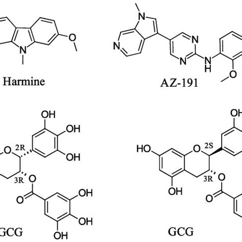 DYRK1A and DYRK1B inhibitors. | Download Scientific Diagram 