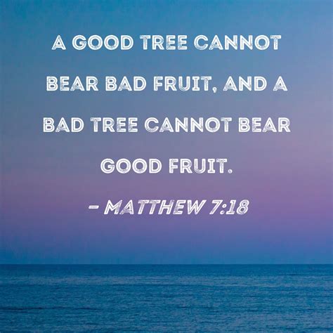 Matthew 7 18 A Good Tree Cannot Bear Bad Fruit And A Bad Tree Cannot