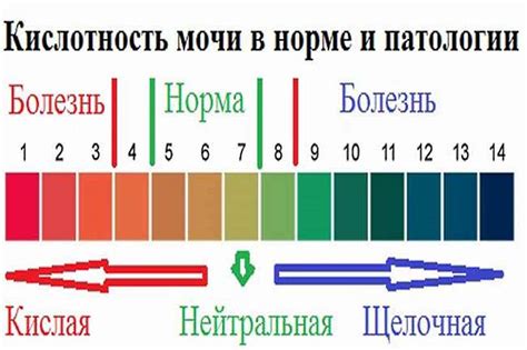 рН мочи в норме: анализ рН мочи высокий и низкий что это значит