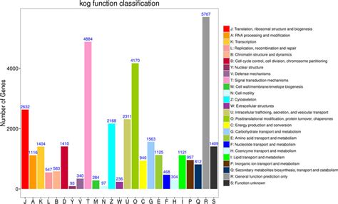 Histogram Presentation Of The Clusters Of The Orthologous Group COG