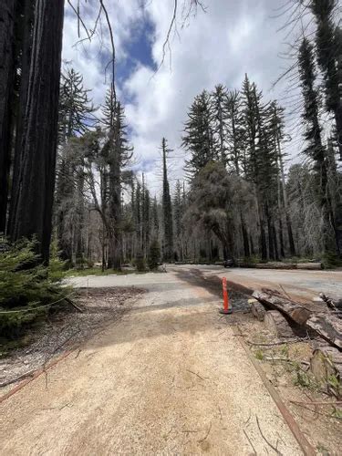 Best 10 Hiking Trails in Big Basin Redwoods State Park | AllTrails