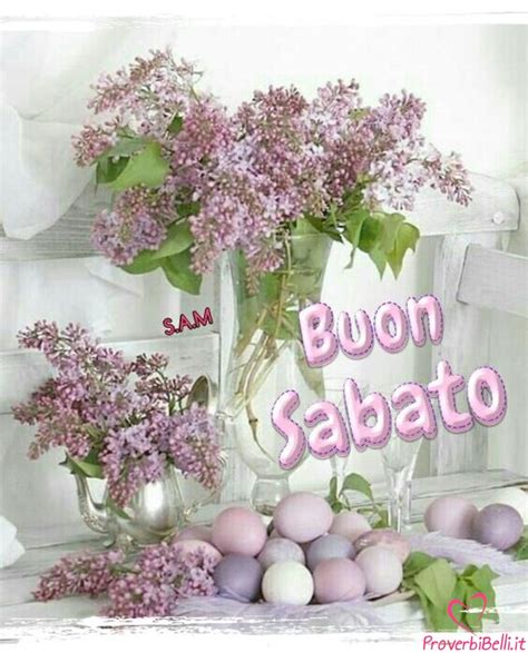 Immagini Buongiorno Sabato Per Whatsapp Proverbibelli It