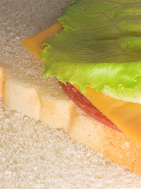 Ham & Cheese sandwich stock photo. Image of color, cheese - 880452