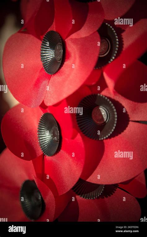 Remembrance Day Poppy Wreath Illuminated By The Morning Sunlight On A War Memorial In A