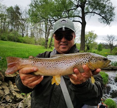 Spruce Creek Pa Fly Fishing Season 2019 Trout Haven