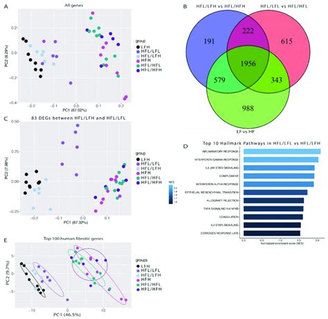 Transcriptomic Differences Between Groups A Principal Component Download Scientific Diagram