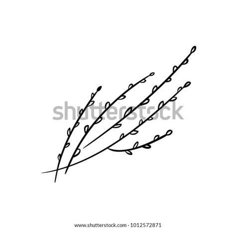 Pussy Willow Illustration Branches Buds Icons Stock Vector Royalty Free 1012572871 Shutterstock
