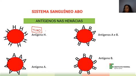 Qual Dos Seguintes Fatores Está Relacionado A Regulação Pelo Antígeno