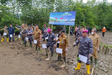 Upaya Rehabilitasi Hutan Dishut Lampung Dorong Tanam Mangrove Jenis