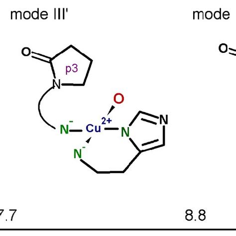 Scheme Coordination Modes Of Pa Cu Ii Based On X