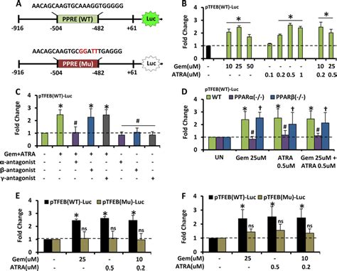 Ppar Transcriptionally Regulates Tfeb Expression Under Treatment