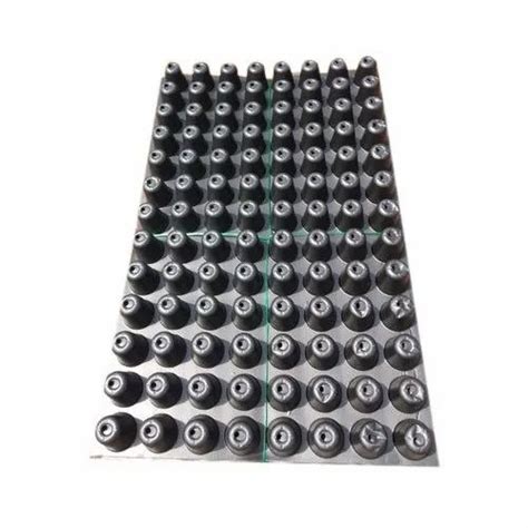 Hips Cavities Black Pvc Seedling Tray For Agriculture At Rs