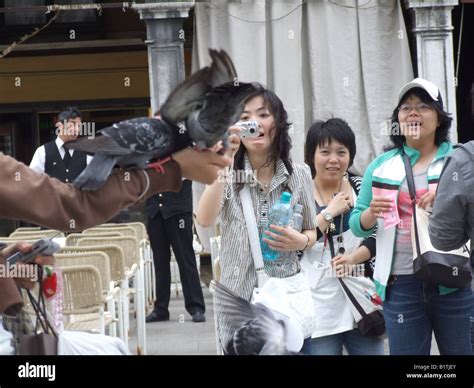 tourists feeding pigeons piazza san marco venice Stock Photo - Alamy