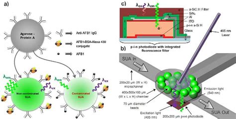 Schematics Of The Immunoassay A And Microfluidic Device B Used To