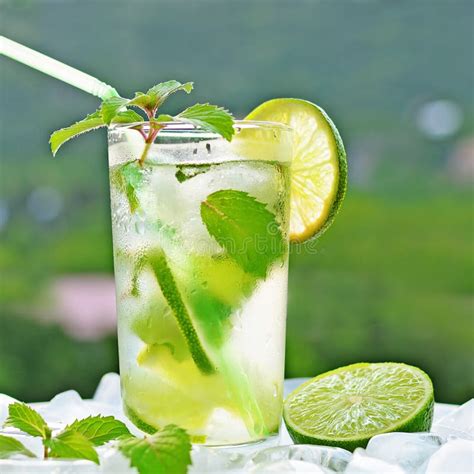 Fresh Mojito Stock Image Image Of Juice Citrus Isolated 41006201