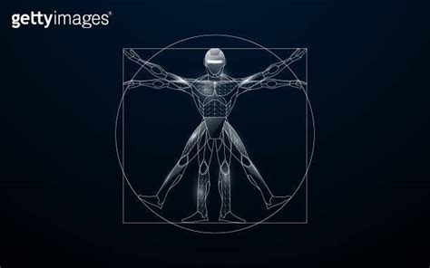 Vitruvian Man With A Cyborg From Lines Triangles And Particle Style