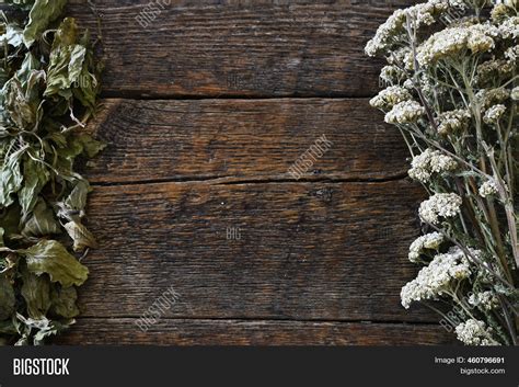 Top View Image Wood Image And Photo Free Trial Bigstock