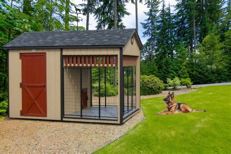 2022's Best Portable Dog Kennels for Sale in Oregon!