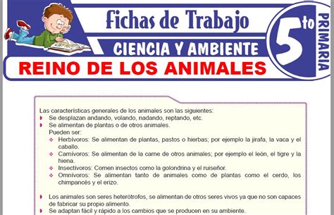 Reino De Los Animales Para Quinto De Primaria Fichas De Trabajo