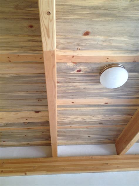 Beetle kill wood | Aggressively Passive